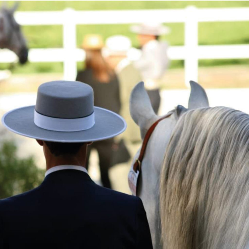 seguro para caballos