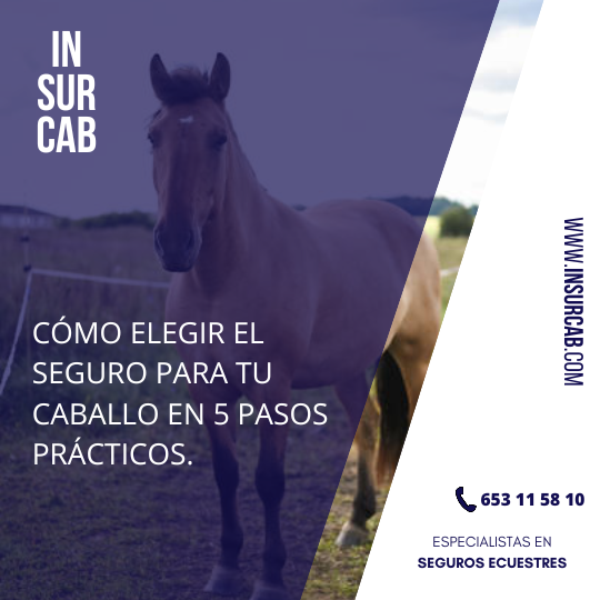 seguros para caballos