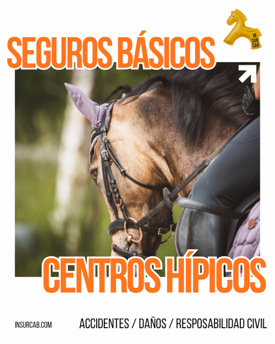 Seguros obligatorios para Centros Hípicos