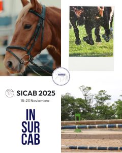 sicab 2025 caballos pura raza español