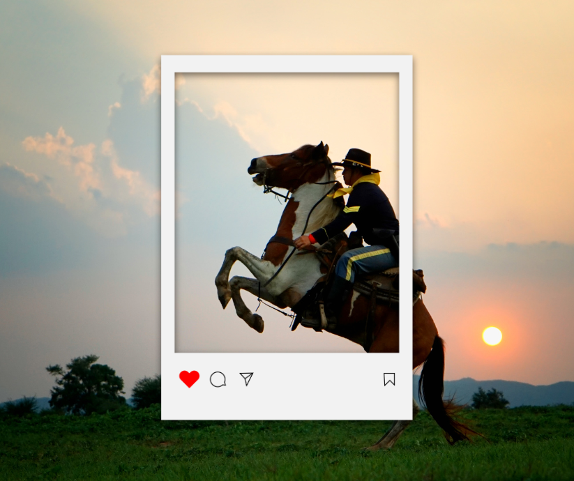 Seguro para caballos: coberturas según ocio, deporte o uso profesional